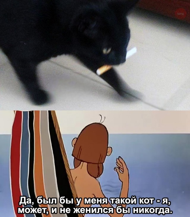 Всякая всячина