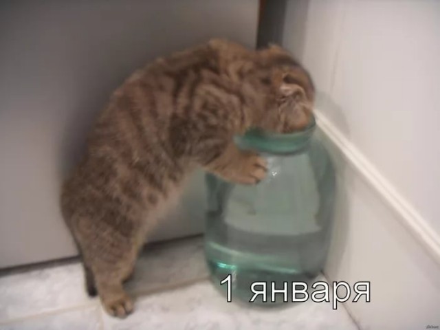 Выжившим в Новогоднюю ночь посвящается…