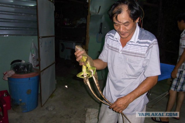 Китайский рынок морепродуктов