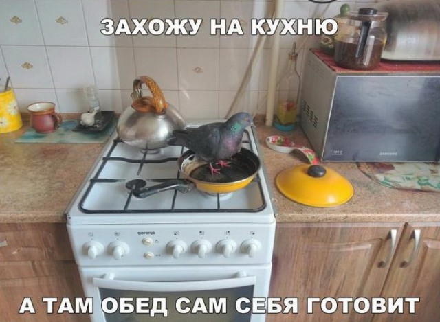 Подборка интересных и веселых картинок