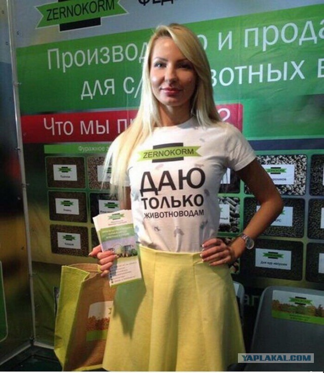 Много картинок в эту пятницу