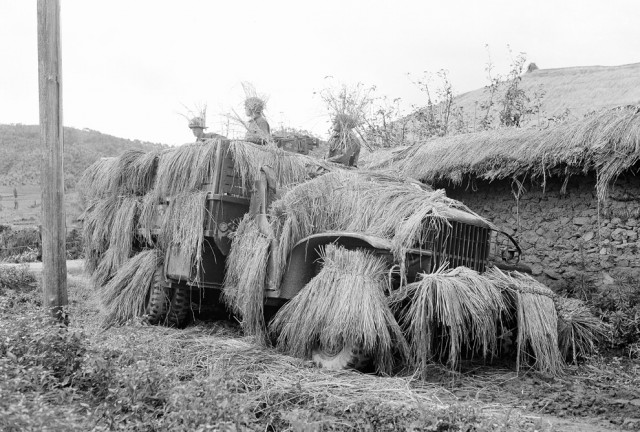 История в фотографиях