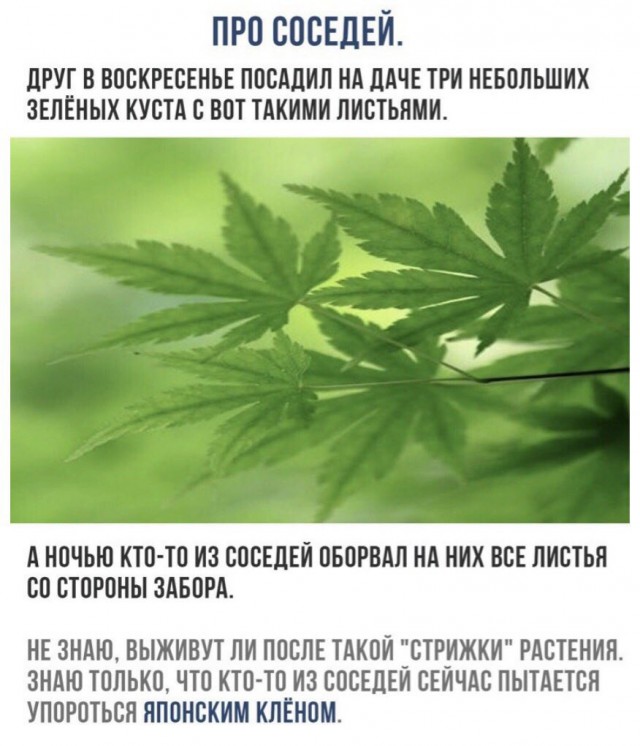 Нестандартный юмор