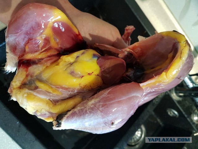 Плов с курицей