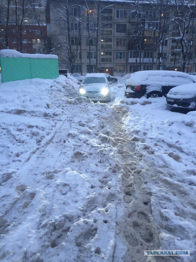 Что творится на дорогах Петербурга после снегопада