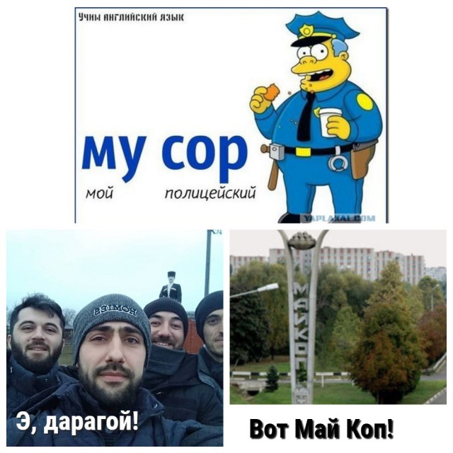 Дурацкие картинки