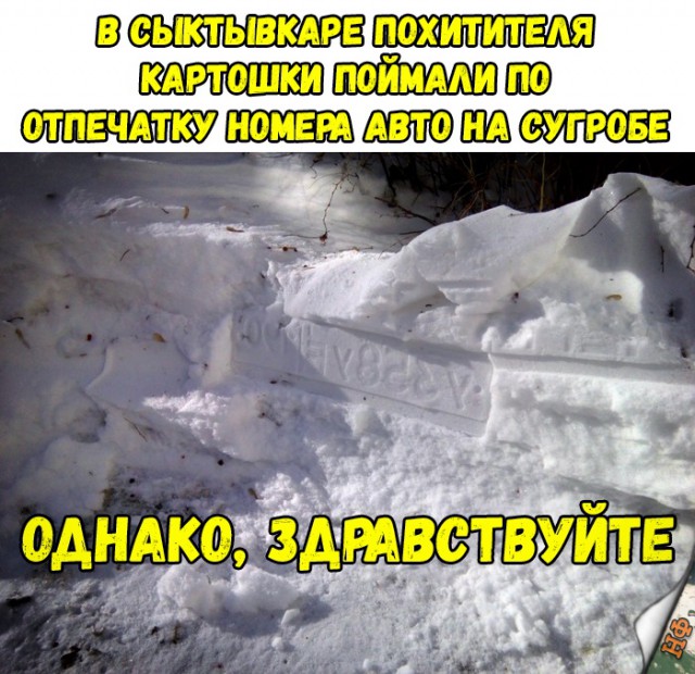 Нестандартный юмор
