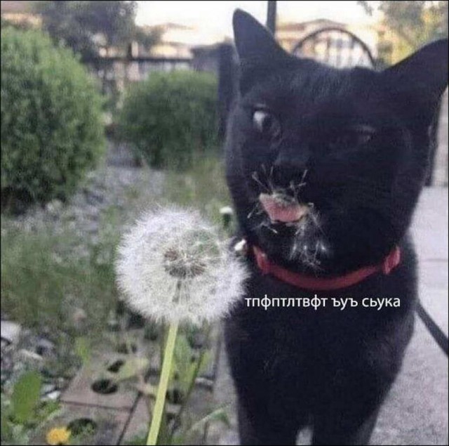 Немного картинок в этот понедельник