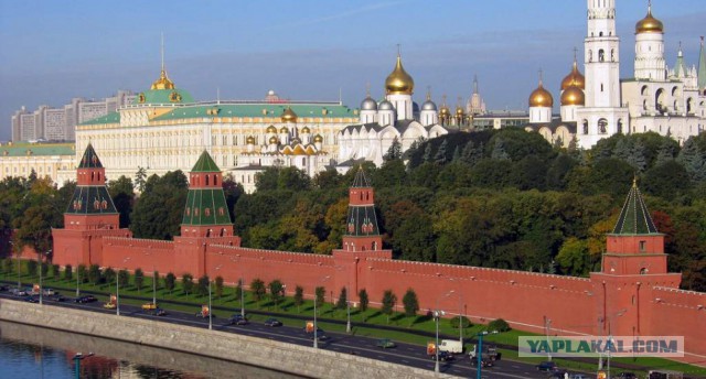 Кремль впервые прокомментировал массовые протесты в Москве​
