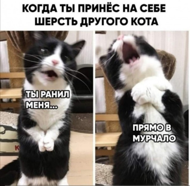 Бредзона 09.03.20