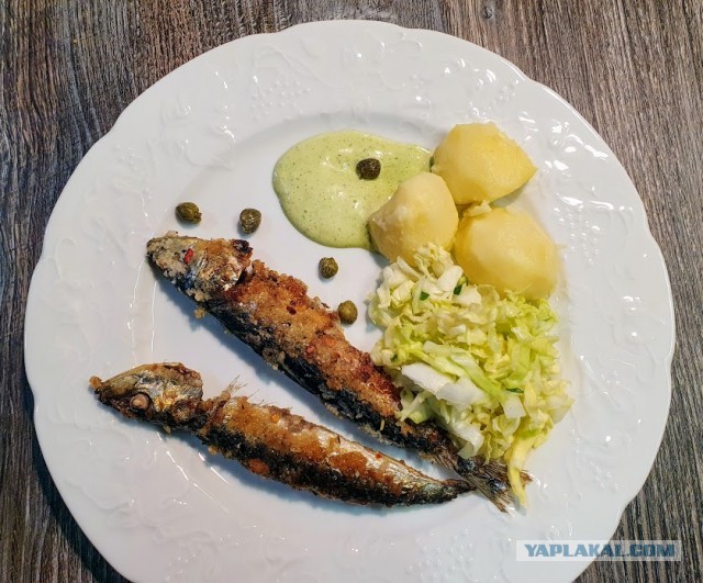 Сардины с зеленым майонезом. С Днем Рождения Люда Vinodelprofi.