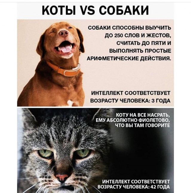 Бредзона 03.07.20