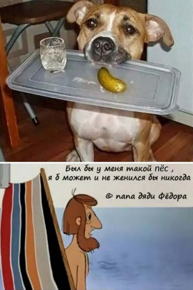 Бредзона 09.08.20