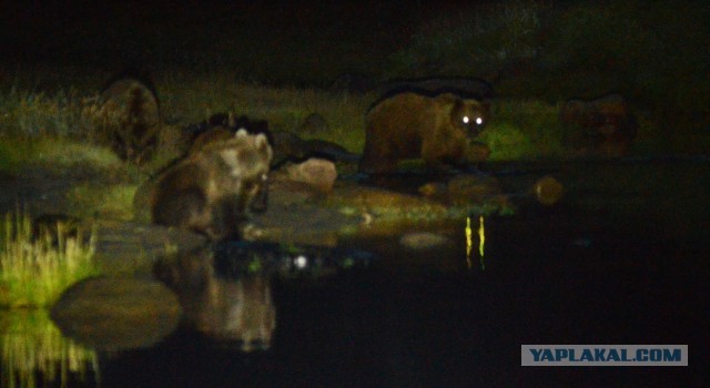 Наше море. Шикарные виды, пустые пляжи, гостеприимные хозяева