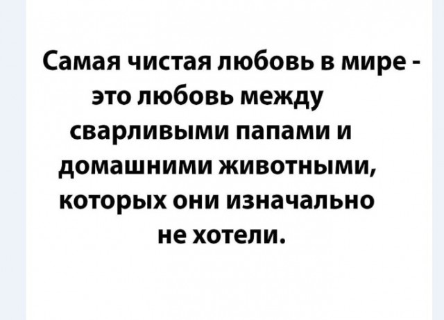 Картинки и мемы для настроения 014