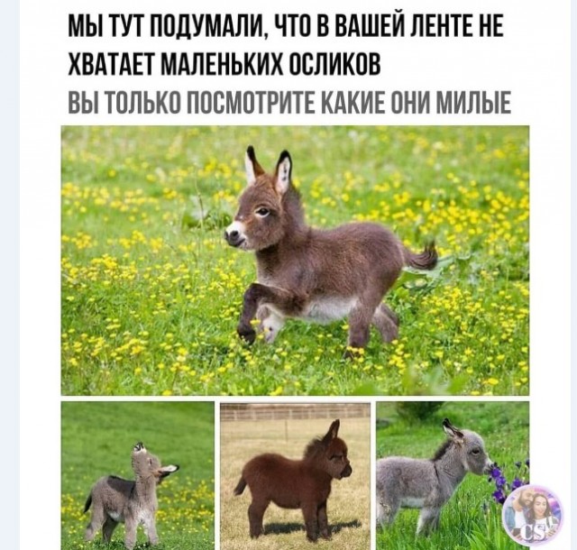 Картинки и мемы для настроения 004