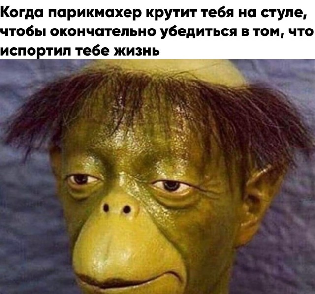Весёлый полтишок 20.03