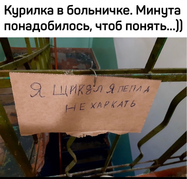Кретинки  на будни