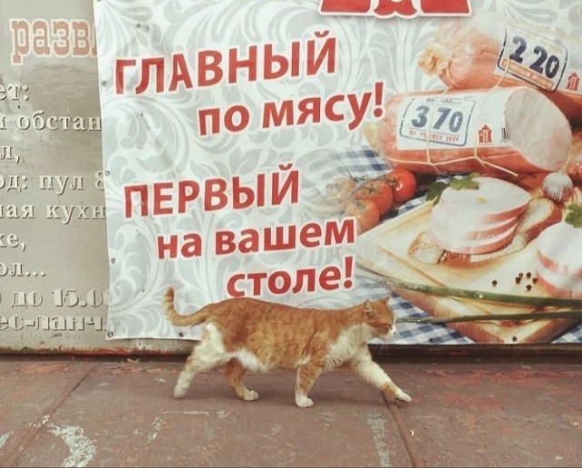 Картинки с надписями и всякие жизненные фразы 31.05.21