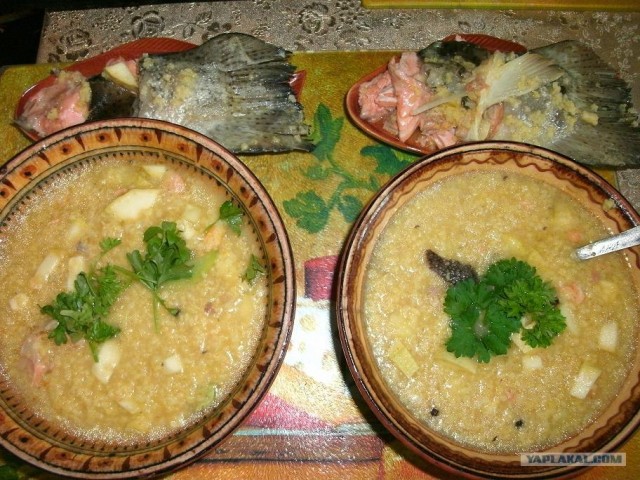 Пятничные посиделки на теплотрассе ©