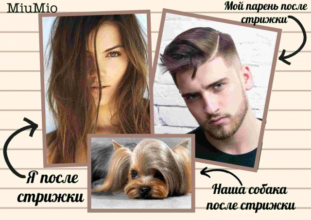 Мои умные и не очень мысли в картинках