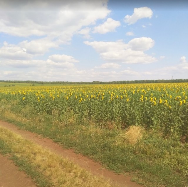 Декабрь на Южном Урале