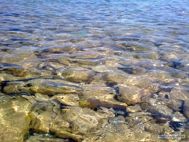 Черное море