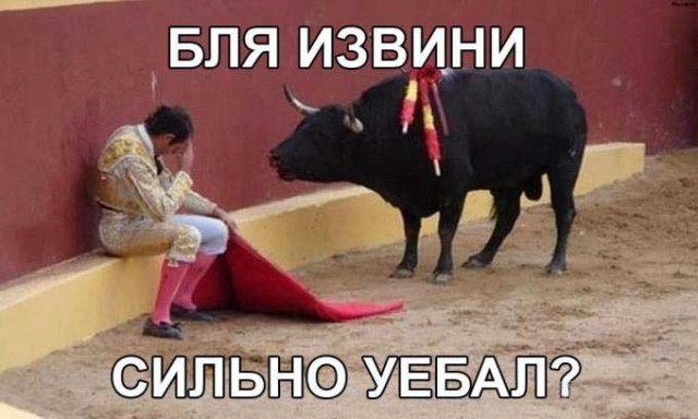 Не сбылось