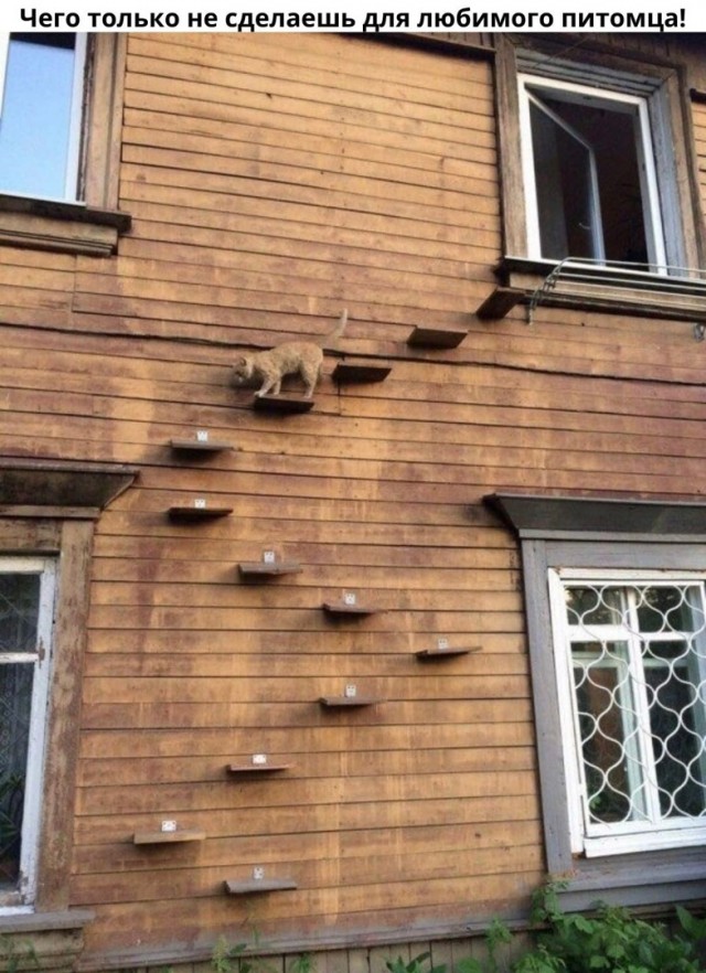 Так себе картинки 19.03.22