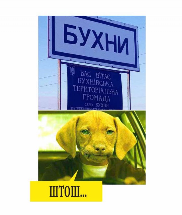 40 картинок разных 26.05.2022