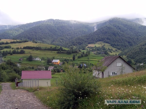 Поход за грибами