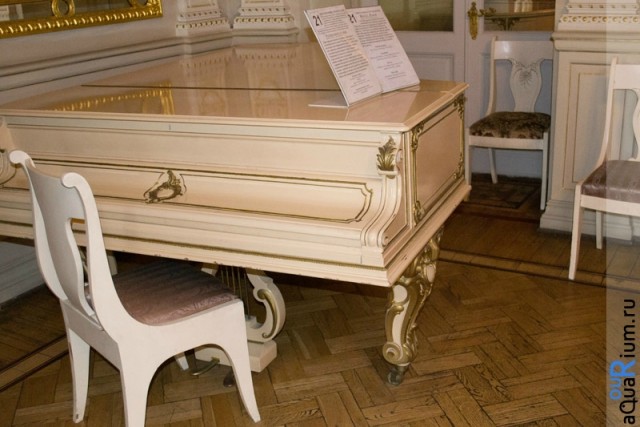 СПб глазами уставшего туриста...