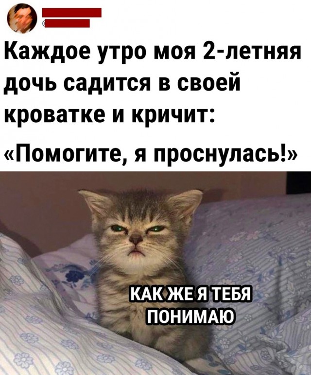 Так себе картинки 12.09.22