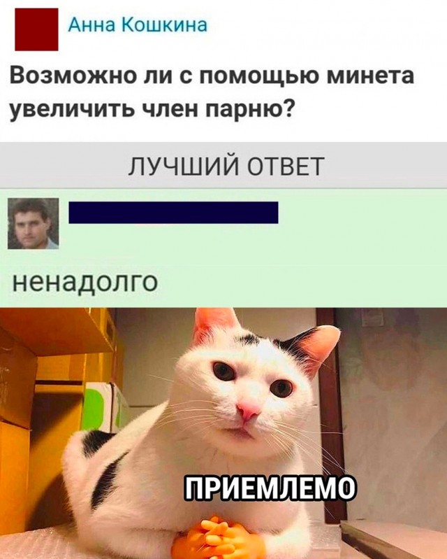 Так себе картинки 17.10.22