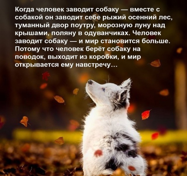 Картинки и мемы для настроения - 119
