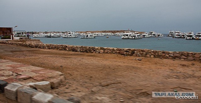 Синайские приключения. Шарм-эш-Шейх и окресности