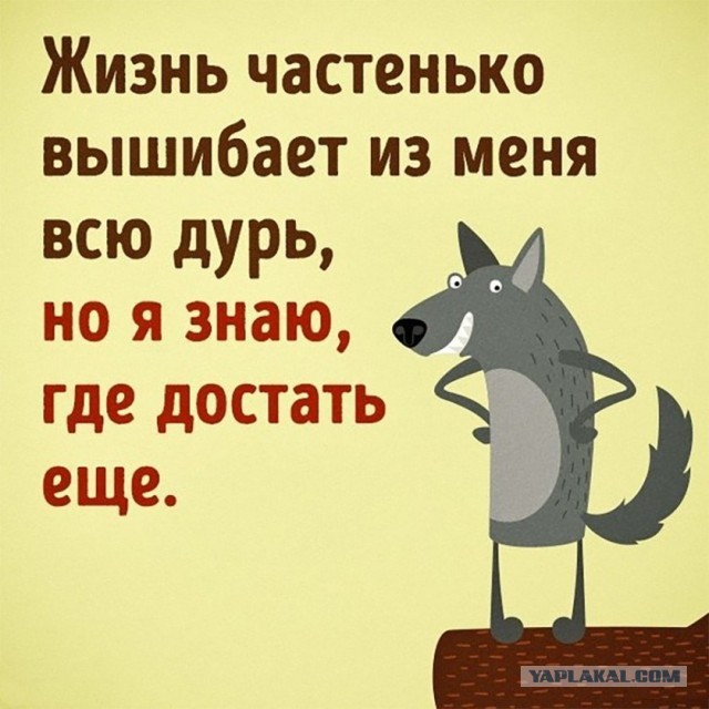 Так себе картинки 25.12.22