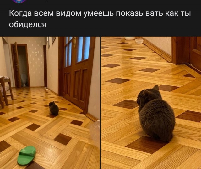 Почему женщины влюбляются в плохих парней, а выбирают хороших: ученые дали ответ