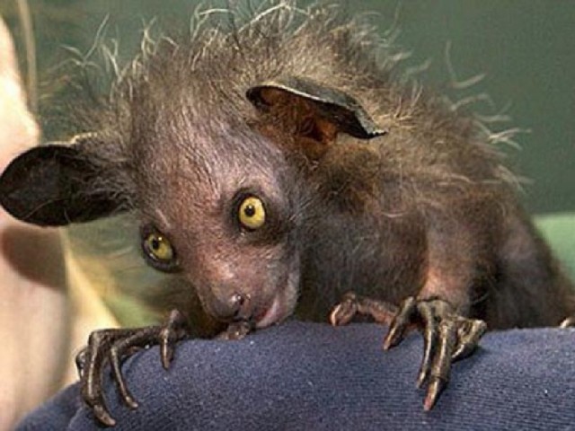 15 фото, раскрывающих природу с темной стороны, заставляя трепетать перед ее силой и грозностью