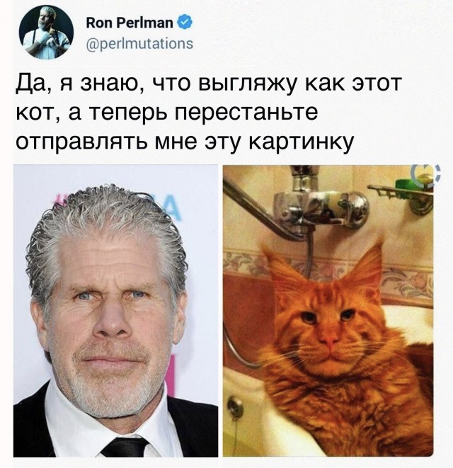 Семейное фото