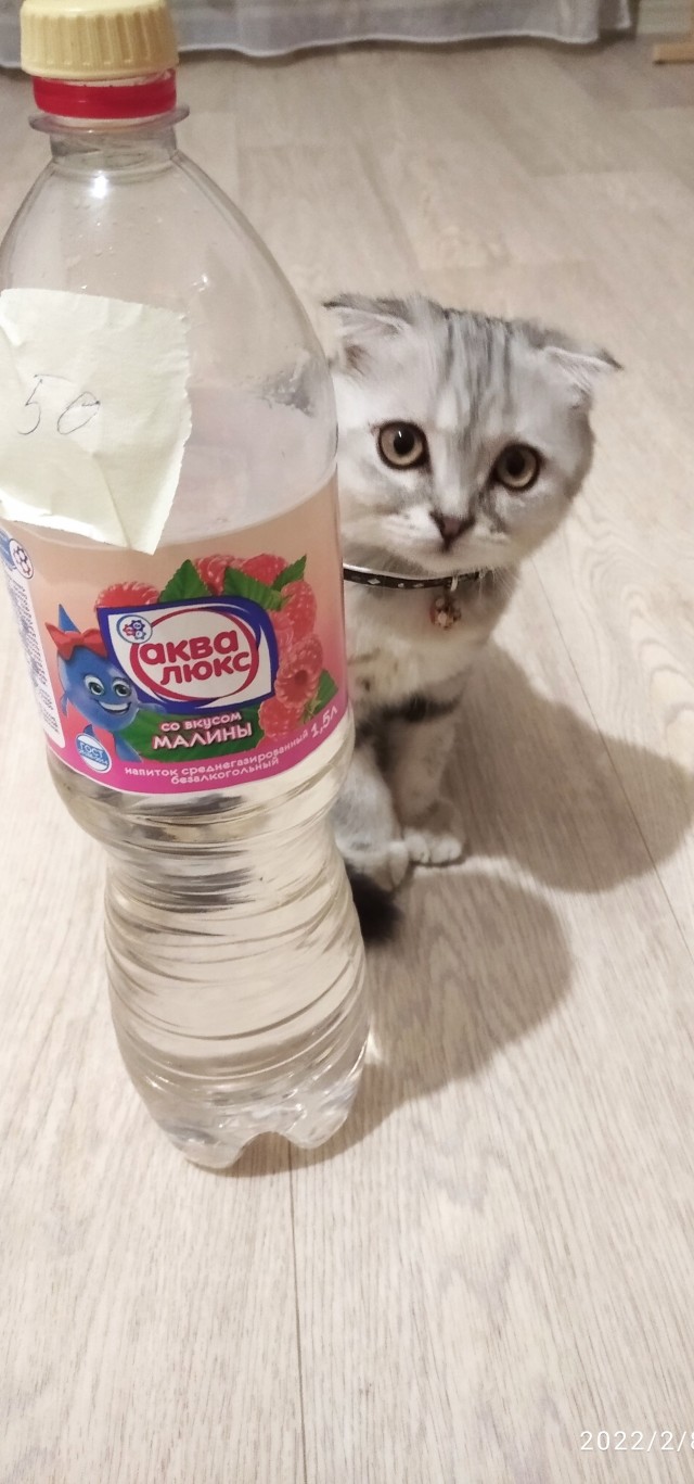 Кто тут брюзжал не тот, мол, ЯП?