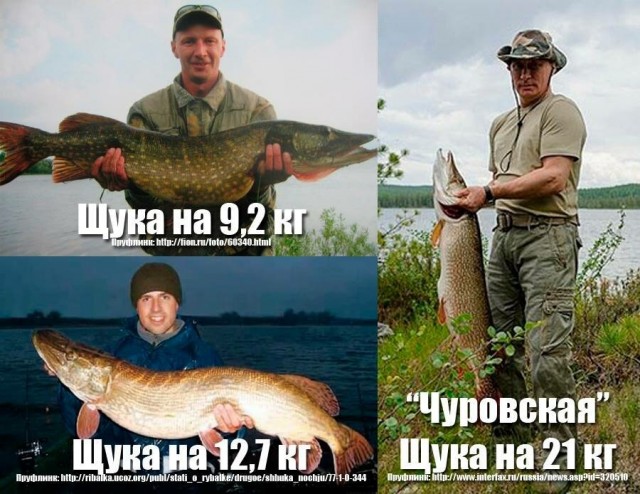 Хорошее начало года. Неплохой трофей