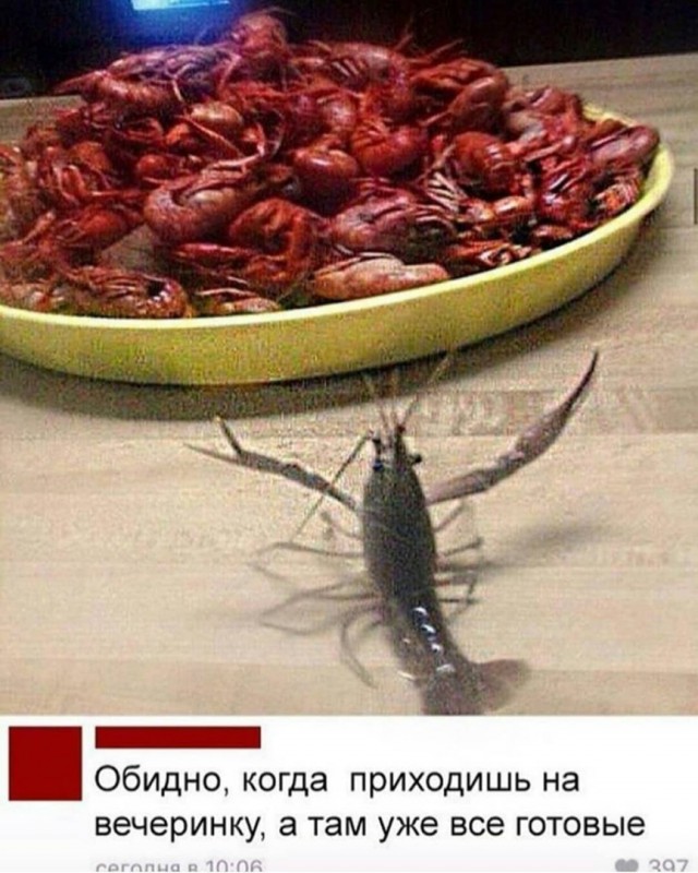 Так себе картинки 19.05.24