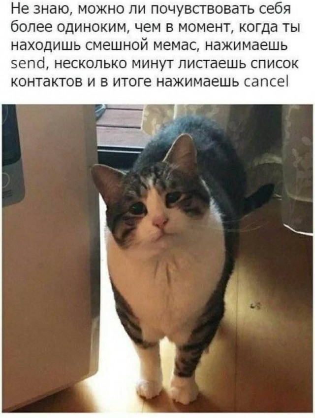 Юмор в картинках и без