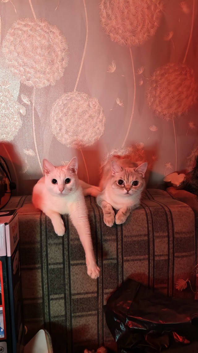 После тыгыдыма