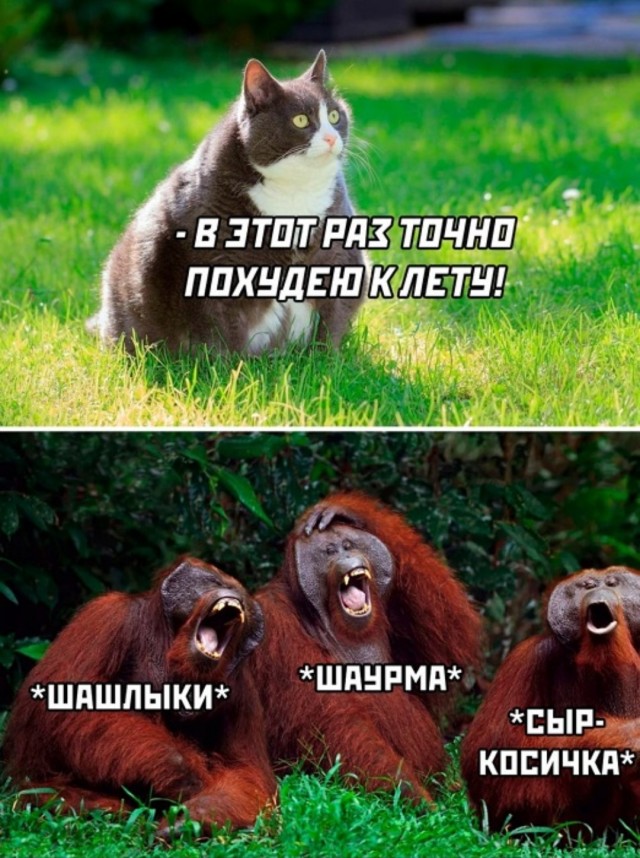 Жалуются на бояны местные.