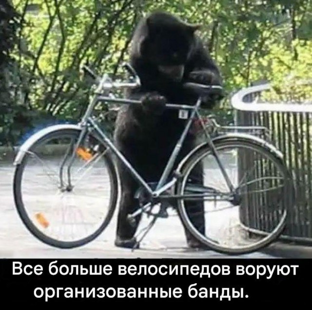 Миниатюра "Негр угоняет велик"