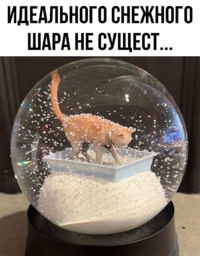 Так себе картинки 26.11.25