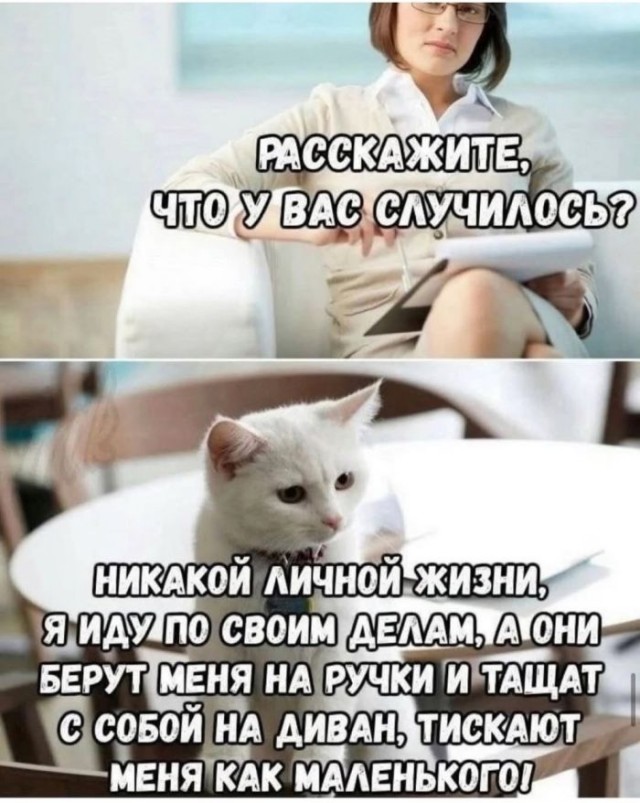 Картинки для деградации 97 (разной степени свежести)