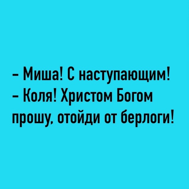 Так себе картинки 31.12.25